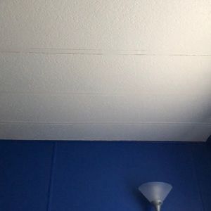 Meet your Posher, Araceli